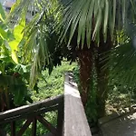 Du Soleil